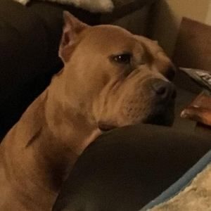 Meet your Posher, Lance